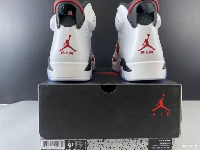 Kick Theory RETRO 2014 JORDAN 6 384664-160 AIR 'CARMINE' 0503